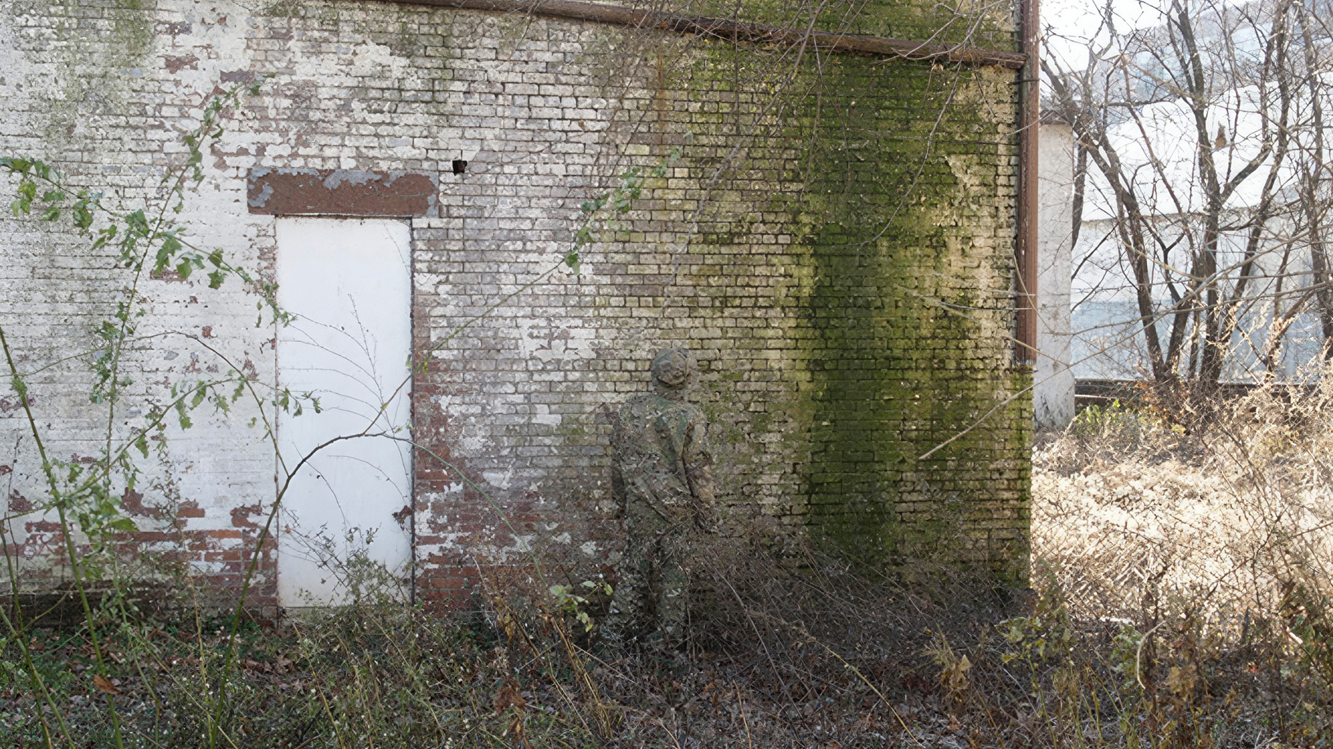 How MultiCam was developed