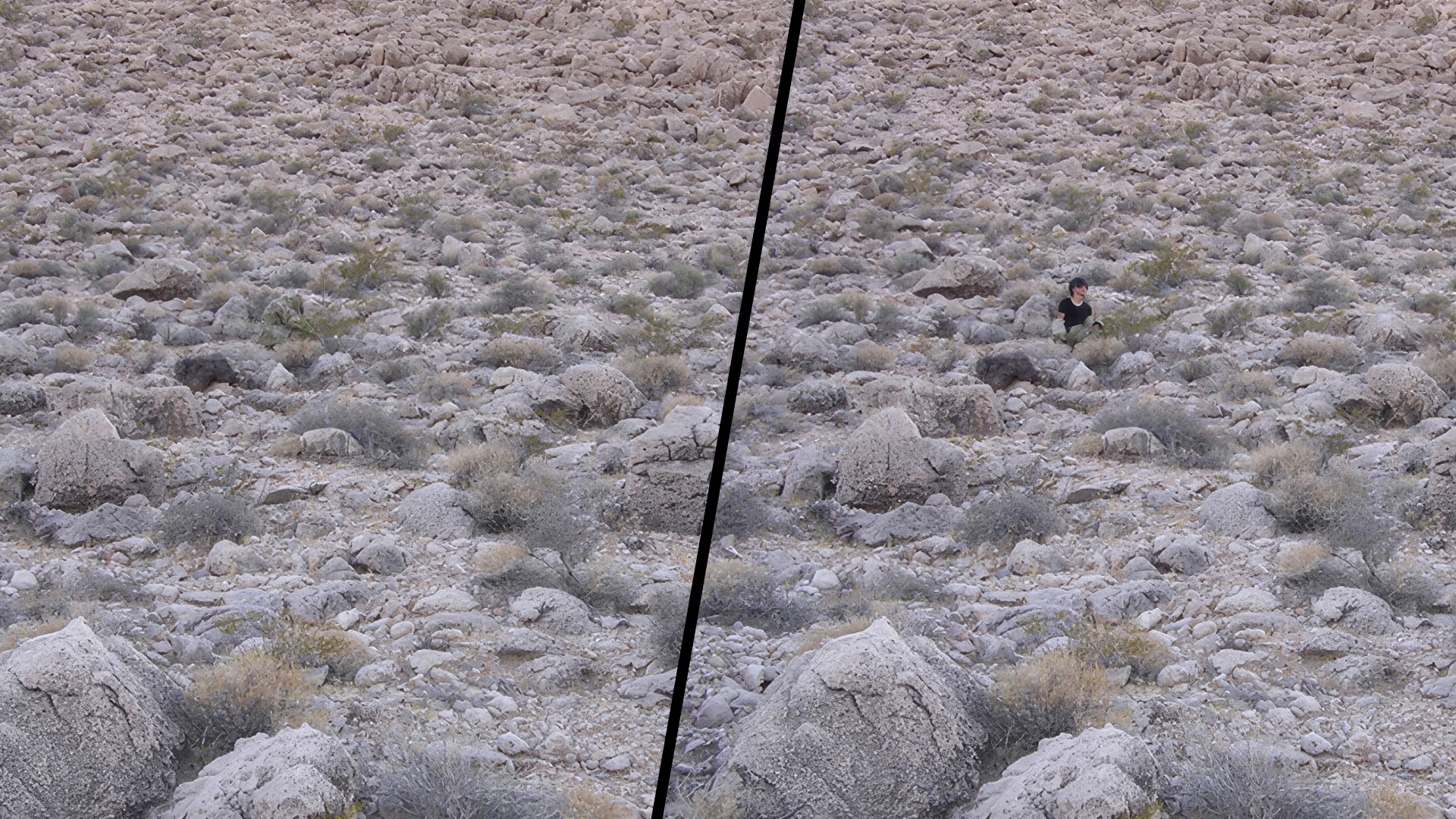 How MultiCam was developed